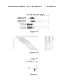 Polyvalent Chimeric OSPC Vaccinogen and Diagnostic Antigen diagram and image