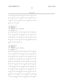 Polyvalent Chimeric OSPC Vaccinogen and Diagnostic Antigen diagram and image