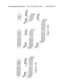 Polyvalent Chimeric OSPC Vaccinogen and Diagnostic Antigen diagram and image