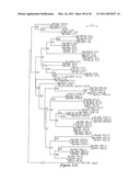 Polyvalent Chimeric OSPC Vaccinogen and Diagnostic Antigen diagram and image