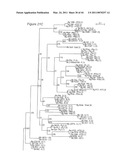 Polyvalent Chimeric OSPC Vaccinogen and Diagnostic Antigen diagram and image