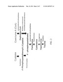 Materials and Methods for Modulating Metabolism diagram and image