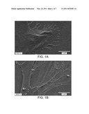 REPARATIVE CELL DELIVERY VIA HYALURONIC ACID VEHICLES diagram and image