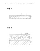 SCALE-LIKE GLASS AND COATED SCALE-LIKE GLASS diagram and image