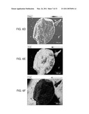 Electrochemical cells comprising porous structures comprising sulfur diagram and image