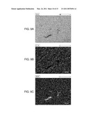 Electrochemical cells comprising porous structures comprising sulfur diagram and image