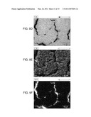 Electrochemical cells comprising porous structures comprising sulfur diagram and image