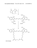 Conjugates of biological substances diagram and image