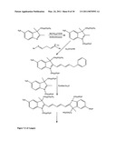 Conjugates of biological substances diagram and image