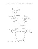 Conjugates of biological substances diagram and image