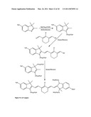 Conjugates of biological substances diagram and image