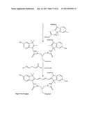 Conjugates of biological substances diagram and image