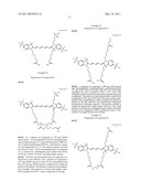 Conjugates of biological substances diagram and image