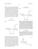 Conjugates of biological substances diagram and image