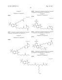 Conjugates of biological substances diagram and image