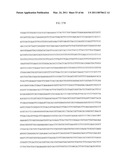 GENE INACTIVATED MUTANTS WITH ALTERED PROTEIN PRODUCTION diagram and image