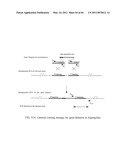 GENE INACTIVATED MUTANTS WITH ALTERED PROTEIN PRODUCTION diagram and image