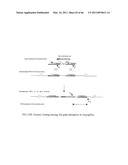 GENE INACTIVATED MUTANTS WITH ALTERED PROTEIN PRODUCTION diagram and image