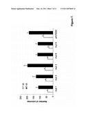 OPTIMIZED HIGH YIELD SYNTHETIC PLASMIDS diagram and image