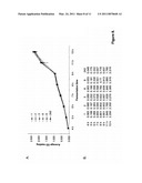 OPTIMIZED HIGH YIELD SYNTHETIC PLASMIDS diagram and image