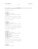 OPTIMIZED HIGH YIELD SYNTHETIC PLASMIDS diagram and image