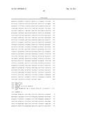 OPTIMIZED HIGH YIELD SYNTHETIC PLASMIDS diagram and image