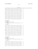 OPTIMIZED HIGH YIELD SYNTHETIC PLASMIDS diagram and image