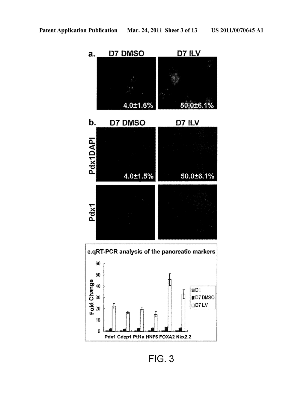 COMPOSITIONS AND METHODS FOR PROMOTING THE GENERATION OF PDX1+ PANCREATIC CELLS - diagram, schematic, and image 04