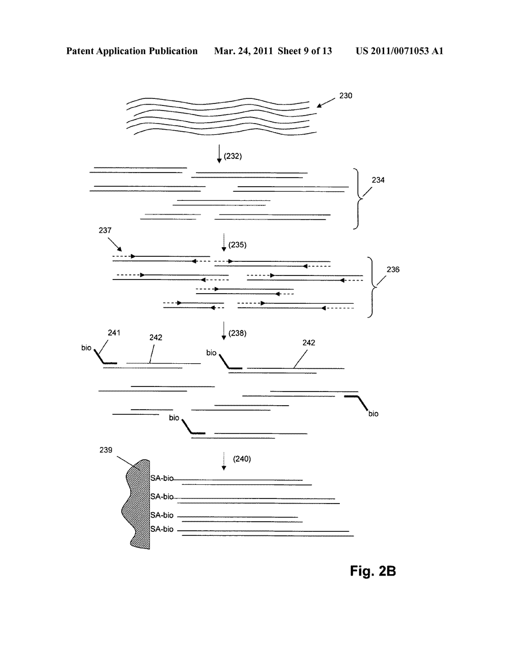 Single Molecule Arrays for Genetic and Chemical Analysis - diagram, schematic, and image 10