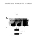 POLYPEPTIDES HAVING MODULATORY EFFECTS ON CELLS diagram and image