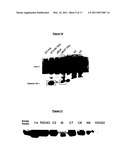 POLYPEPTIDES HAVING MODULATORY EFFECTS ON CELLS diagram and image