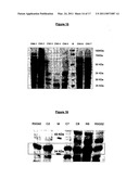 POLYPEPTIDES HAVING MODULATORY EFFECTS ON CELLS diagram and image