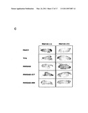 POLYPEPTIDES HAVING MODULATORY EFFECTS ON CELLS diagram and image