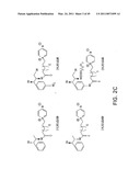 Cationic Ceramides, And Analogs Thereof, And Their Use For Preventing Or Treating Cancer diagram and image