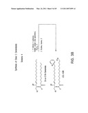 Cationic Ceramides, And Analogs Thereof, And Their Use For Preventing Or Treating Cancer diagram and image