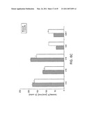 Cationic Ceramides, And Analogs Thereof, And Their Use For Preventing Or Treating Cancer diagram and image