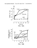 Cationic Ceramides, And Analogs Thereof, And Their Use For Preventing Or Treating Cancer diagram and image