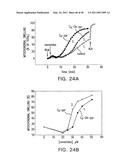 Cationic Ceramides, And Analogs Thereof, And Their Use For Preventing Or Treating Cancer diagram and image