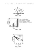Cationic Ceramides, And Analogs Thereof, And Their Use For Preventing Or Treating Cancer diagram and image