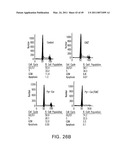 Cationic Ceramides, And Analogs Thereof, And Their Use For Preventing Or Treating Cancer diagram and image