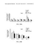 Cationic Ceramides, And Analogs Thereof, And Their Use For Preventing Or Treating Cancer diagram and image