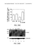 Cationic Ceramides, And Analogs Thereof, And Their Use For Preventing Or Treating Cancer diagram and image