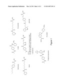 HISTONE DEACETYLASE INHIBITORS AS THERAPEUTIC AGENTS FOR LYSOSOMAL STORAGE DISORDERS diagram and image