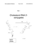 RNAi Modulation of the RHO-A Gene and Uses Thereof diagram and image