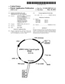 P185NEU-ENCODING DNA AND THERAPEUTICAL USES THEREOF diagram and image