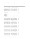 P185NEU-ENCODING DNA AND THERAPEUTICAL USES THEREOF diagram and image