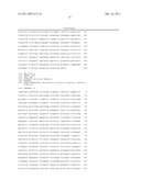 P185NEU-ENCODING DNA AND THERAPEUTICAL USES THEREOF diagram and image