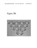 TRANSPARENT ARTICLES PREPARED FROM THERMOPLASTIC COMPOSITIONS HAVING LOW BIREFRINGENCE diagram and image