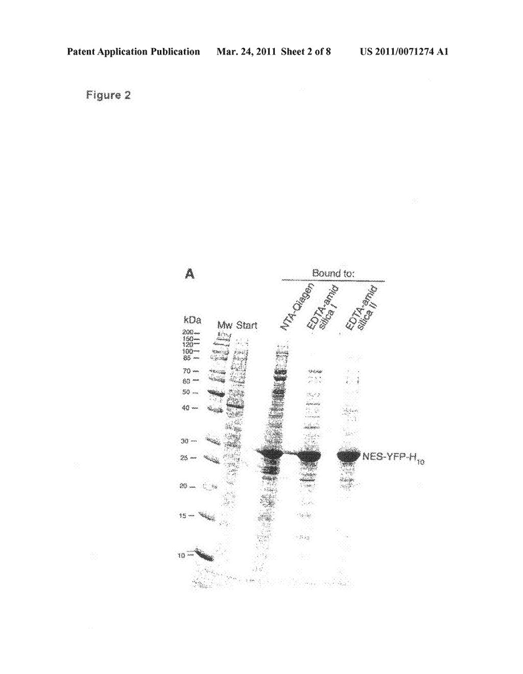 IMMOBILISATION OF CHELATING GROUPS FOR IMMOBILISED METAL ION CHROMATOGRAPHY (IMAC) - diagram, schematic, and image 03