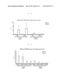 RESISTIN ANTAGONISTS AND THEIR USE diagram and image